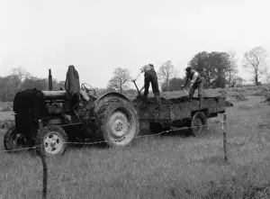 British Farming History Stampe: Muck Spreading