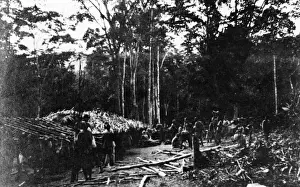 Truppe indigene che costruiscono ripari, Camerun, Africa, WW1.