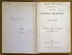 Natural Selection Theory Stampe: Natural Selection