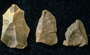 Stampe di Strumenti in pietra ritenuti appartenuti un tempo all'uomo di Neanderthal (Homo neanderthalensis) che viveva nella Grotta di Gorham, a Gibilterra Neanderthalensis Stampe: Artefatti neanderthaliani.