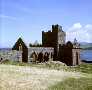Ancient Castle Ruins Stampe: (insert)