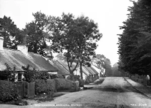 Stampe di Newtownbreda, Ormeau Rd. Belfast - una scena di strada rurale con case a destra e signora e cane. (Luogo: Irlanda del Nord: Contea di Antrim: Belfast). Data: circa inizi 1900 Belfast Stampe: Newtownbreda, Ormeau Rd. Belfast