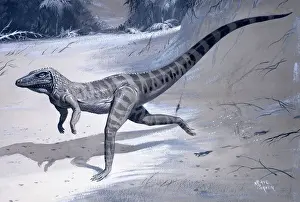 Prehistoric Animal Art Stampe: Ornithosuchus