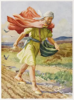 New Testament History Stampe: Parable of the Sower