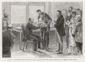 Laboratory Science Stampe: Pasteur Vaccination