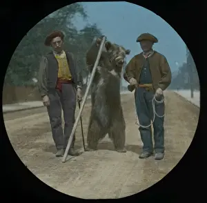 Lantern Slide History Stampe: Performing Bear with Pole