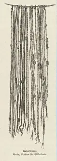 Immagini Correlate Stampe: Quipu peruviano