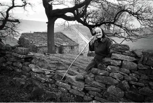 Regno Unito Stampe: Hanna Hauxwell - agricoltore inglese