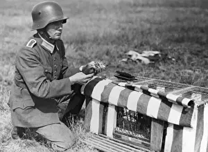 German Soldier Uniform Stampe: Pigeon Post