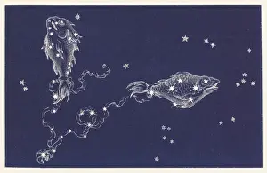 Grafici Stellari Stampe: Pisces
