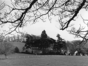 Welsh Countryside Views Stampe: Plas Meredith