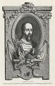 Pliny The Elder Stampe: Pliny the Elder