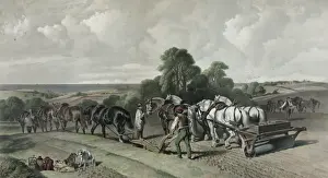 Rural Countryside Views Stampe: Ploughing
