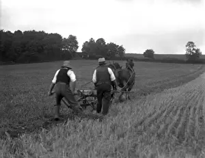 Historical Farm Equipment Stampe: Ploughing Fields