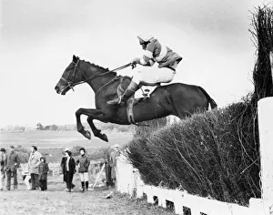 Point To Point Racing Stampe: Point to Point