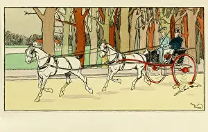 Horse Drawn Vehicle Images Stampe: Pony & trap