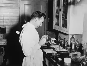 Laboratory Technician Stampe: Preparing Lab Slide 50S