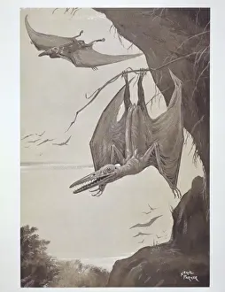 Cretaceous Period Animals Stampe: Pterodactyl