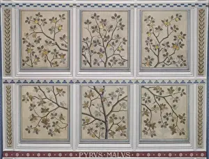 Natural History Museum Interior Stampe: Pyrus malus, apple