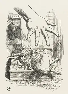 Lewis Carroll Original Artwork Stampe: Rabbit in Cucumber Frame