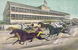 Historic Horse Racing Pictures Stampe: A race to the wire