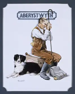Soglia Ferroviaria - Stazione di Aberystwyth
