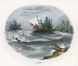 North America Water Features Stampe: Rapids (Whimper)