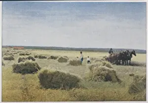 Historical Farm Equipment Stampe: Reaping, Canada