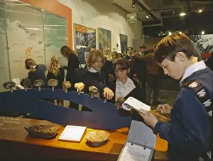 Natural History Museum Exhibits Stampe: Restless Surface