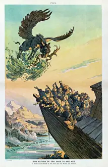 Puck Magazine Illustrations Stampe: The return of the dove to the ark