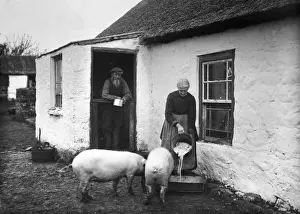 Early 1900s Photographs Stampe: The Rint Payers