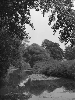 Rural England 1930s Stampe: The River Mole