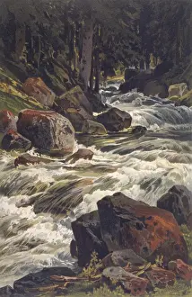 Austrian River Scenery Stampe: River & Moss