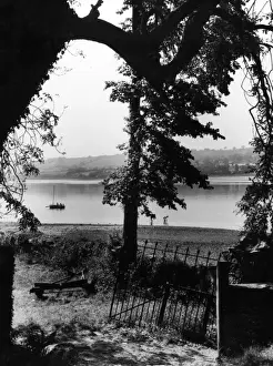 Devon Landscapes Stampe: The River Teign