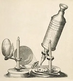 Stampe di Microscopio di Robert Hooke Robert Hooke Stampe: Roberto Hooke / Microscopio