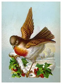 Robin In Snow Stampe: Robin with Winter Scene
