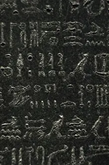 La Pietra di Rosetta. Scrittura geroglifica.