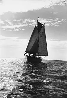 Sailing Ships Stampe: Sailing Ship