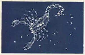 Ancient Greek Constellations Stampe: Scorpio