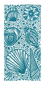 Marine Life Prints Stampe: A selection of seashells