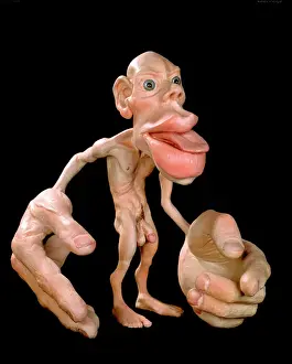 Homuncolo sensoriale