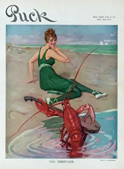 Vintage Cartoon Art Stampe: The serenade