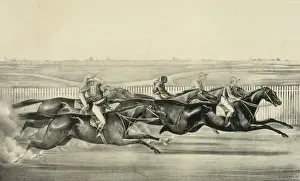 American Horse Racing Stampe: A sharp pace from start to finish
