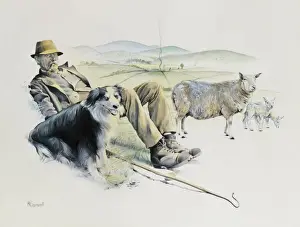 Malcolm Greensmith Paintings Stampe: Shepherd at rest