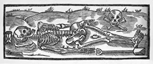 Ancient History Images Stampe: Skeleton and Skull