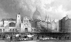 Smithfield Market History Stampe: SMITHFIELD