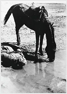 Eastern Front History Stampe: Soviet Cavalryman