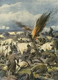 Eastern Front Operations Stampe: Soviet Counter Attack