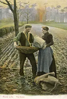 Farming In Britain Stampe: SOWING
