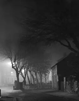 Natural Phenomena In Art Stampe: Spooky Trees